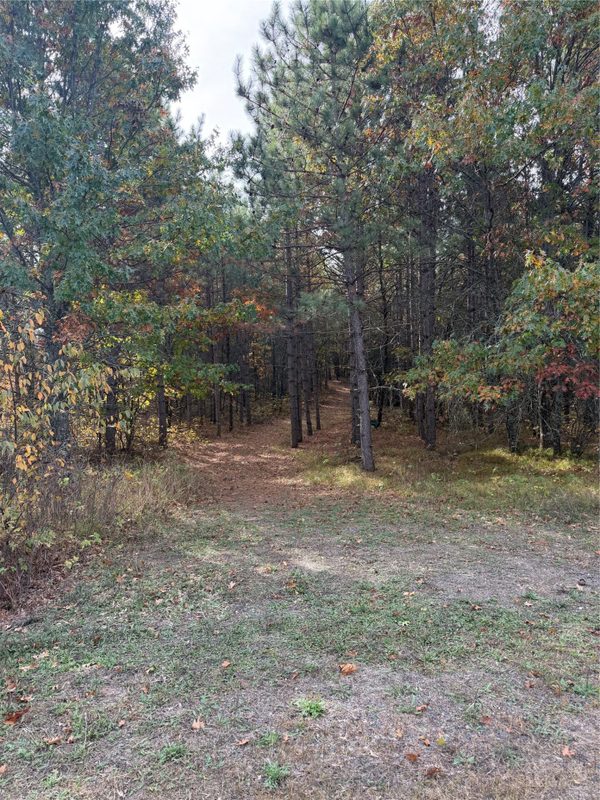 14375 Grell Road, Grantsburg WI 54840 - Land house for sale - MLS #1605788 - image9