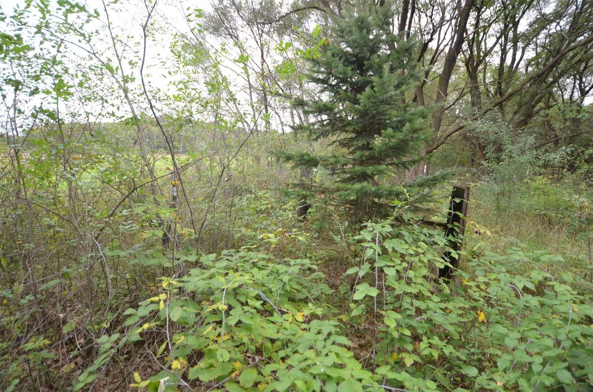 N47414 County Road Y, Eleva WI 54738 - Residential house for sale - MLS #1605721 - image7