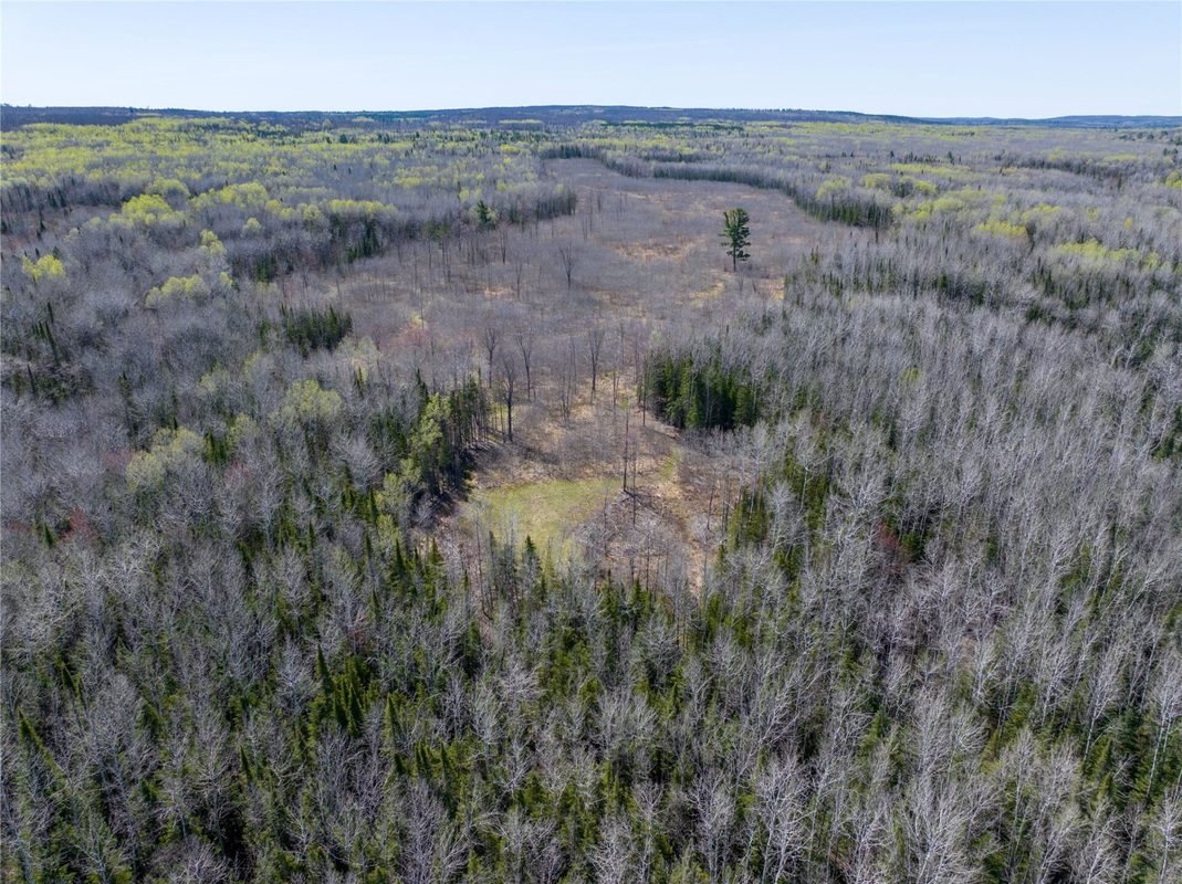 TBD Swedlund Road, Herbster WI 54844 - Land house for sale - MLS #1605965 - image8