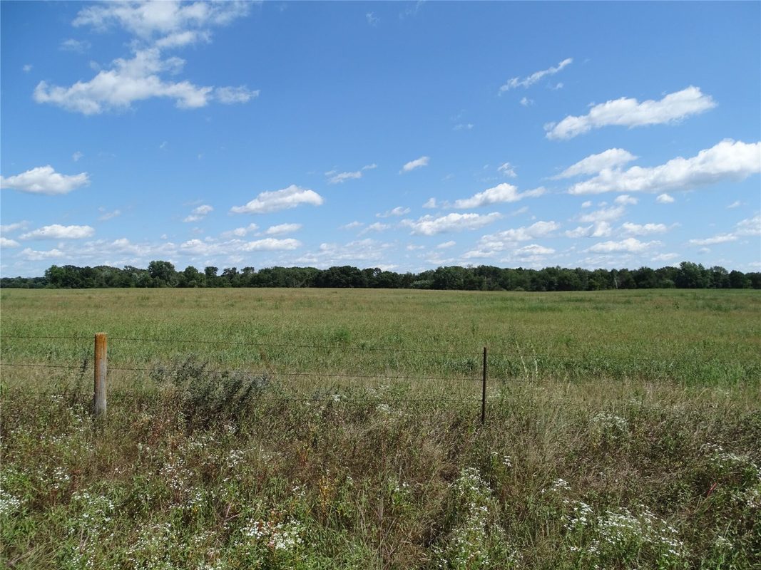 N1380 810th Street, Mondovi WI 54755 - Land house for sale - MLS #1604266 - image4