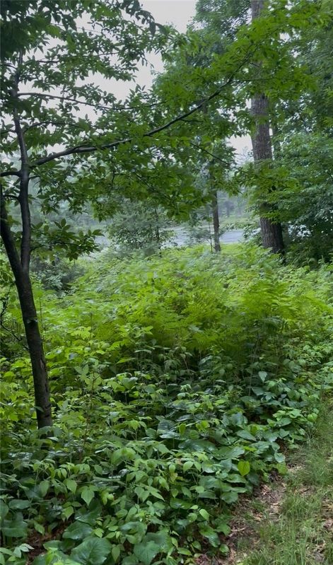 56 11 1/8 Avenue, Cameron WI 54822 - Land house for sale - MLS #1596640 - image17