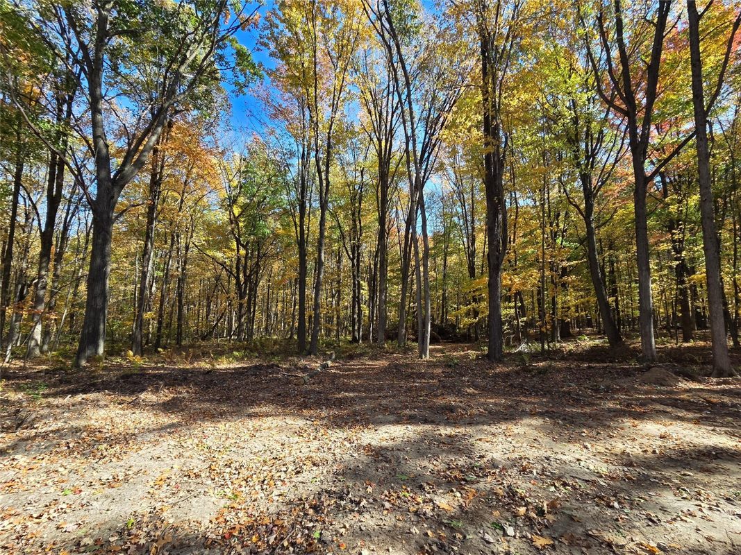 2541 County Hwy D, Boyd WI 54726 - Land house for sale - MLS #1605930 - image12