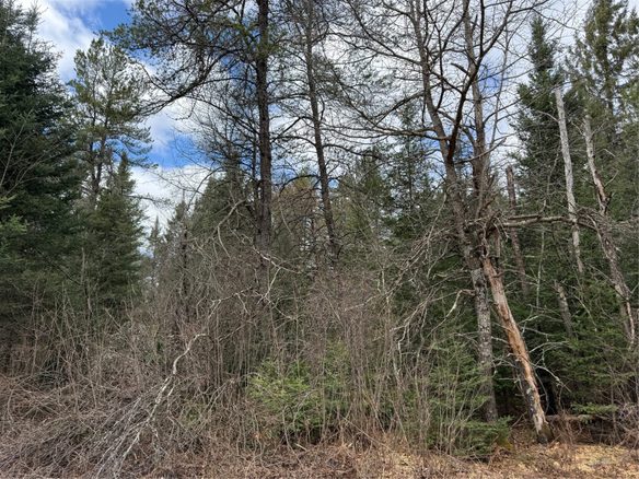 Lot 30 Maple Court, Cable, WI