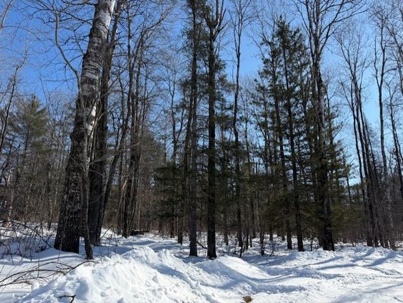 Lot 108 Willow Court, Cable, WI