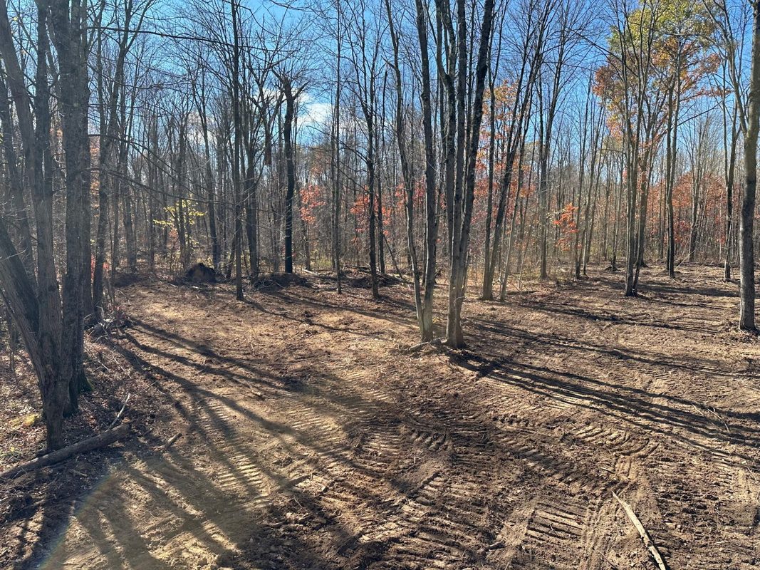 30 Acres County Highway X, Glen Flora WI 54526 - Land house for sale - MLS #1605967 - image6