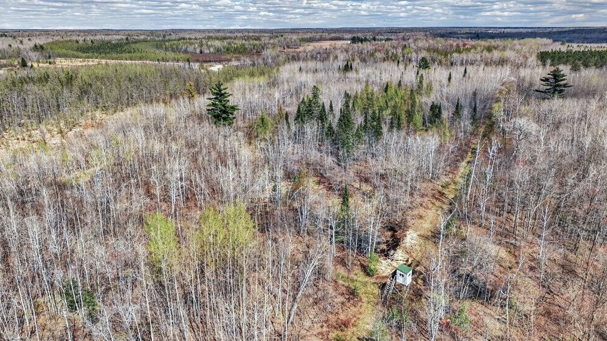 W6283 County Road I, Ladysmith, WI — photo 12