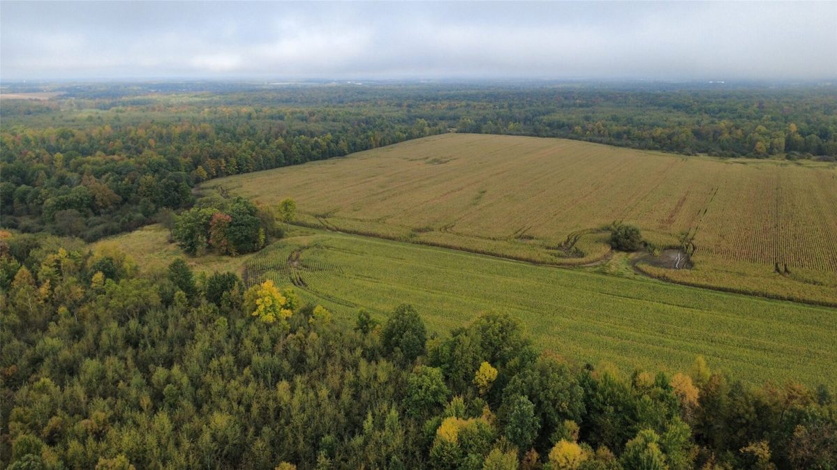 000 Miller Avenue, Owen WI 54460 - Land house for sale - MLS #1605509 - image10
