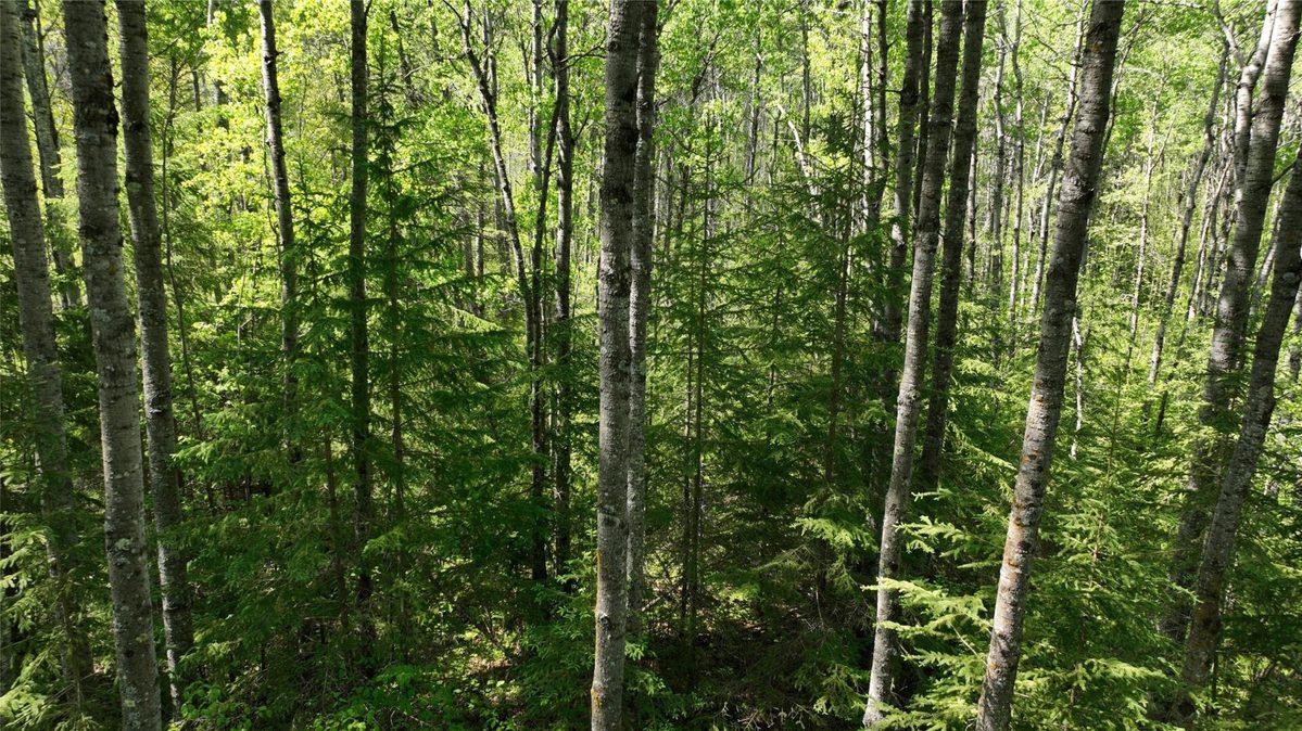 1640 County Road W, Superior WI 54880 - Land house for sale - MLS #1602205 - image30
