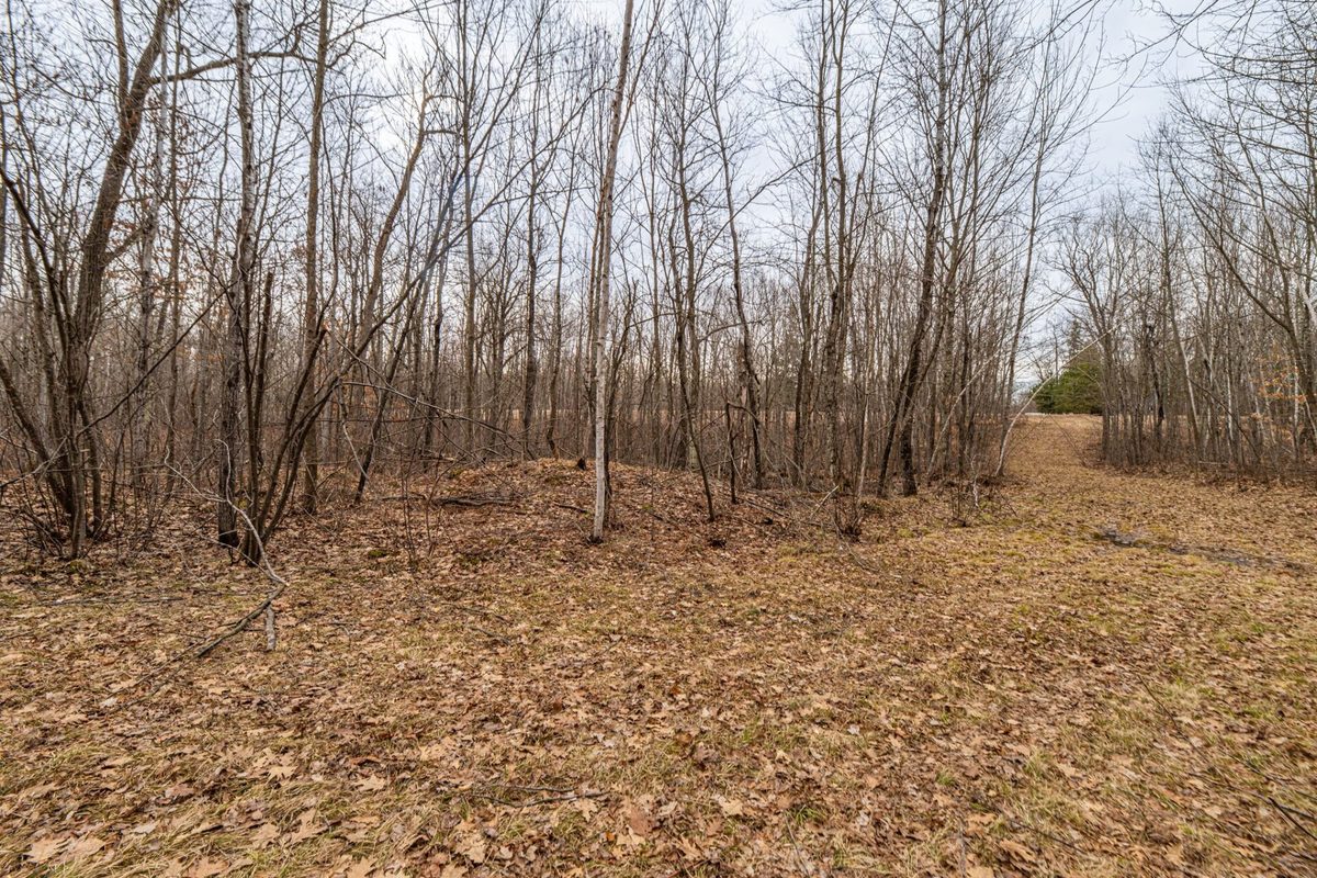 W2294 Highway 70  Spooner WI 54801 — photo 15