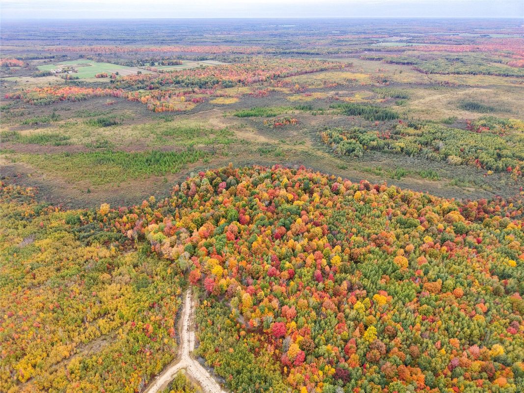 0000 County Road I, Ogema WI 54459 - Land house for sale - MLS #1605613 - image10