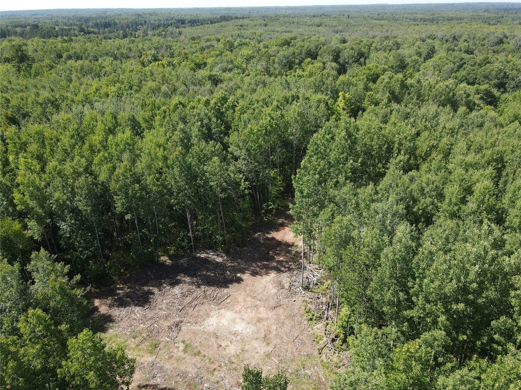 Parcel 4 County Road A, Solon Springs WI 54873 - Land house for sale - MLS #1604811 - image18