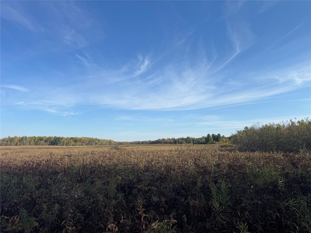 W11199 Edgewood Avenue, Bruce WI 54848 - Land house for sale - MLS #1605749 - image21