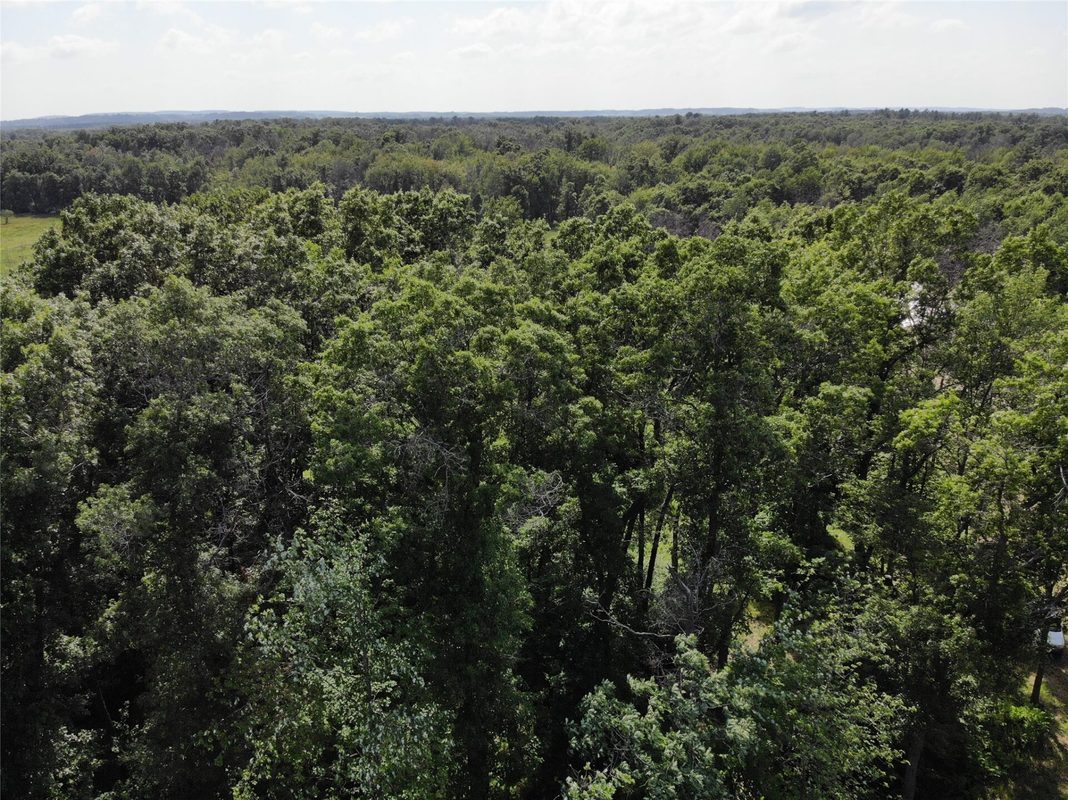S11305 Kempton Road, Augusta WI 54722 - Land house for sale - MLS #1602723 - image25