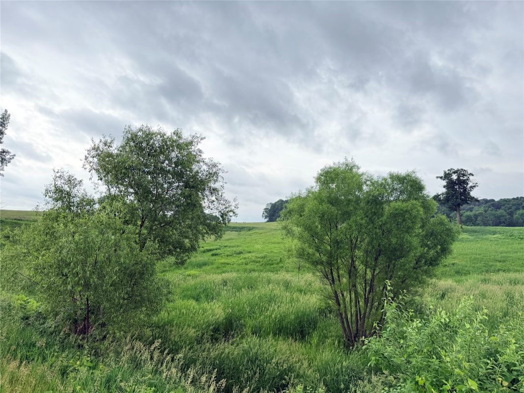 0 Grandview Drive, Fall Creek WI 54727 - Land house for sale - MLS #1603307 - image5