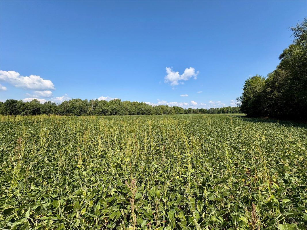 W16860 Cty Rd D, Sheldon WI 54766 - Land house for sale - MLS #1604631 - image27