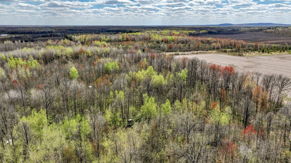 27.6 Acres off Helena Drive, Conrath WI 54731 - Land house for sale - MLS #1605499 - image15