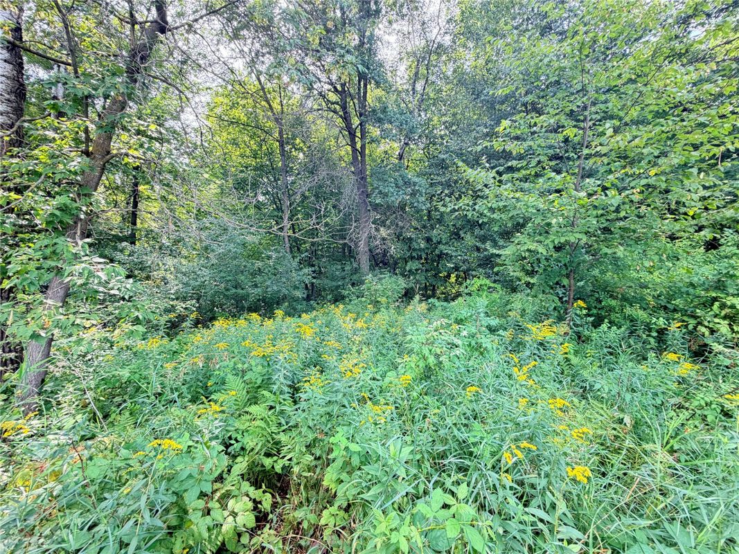 10 Acres Lot 4 230th Street, St Croix Falls WI 54024 - Land house for sale - MLS #1606210 - image10