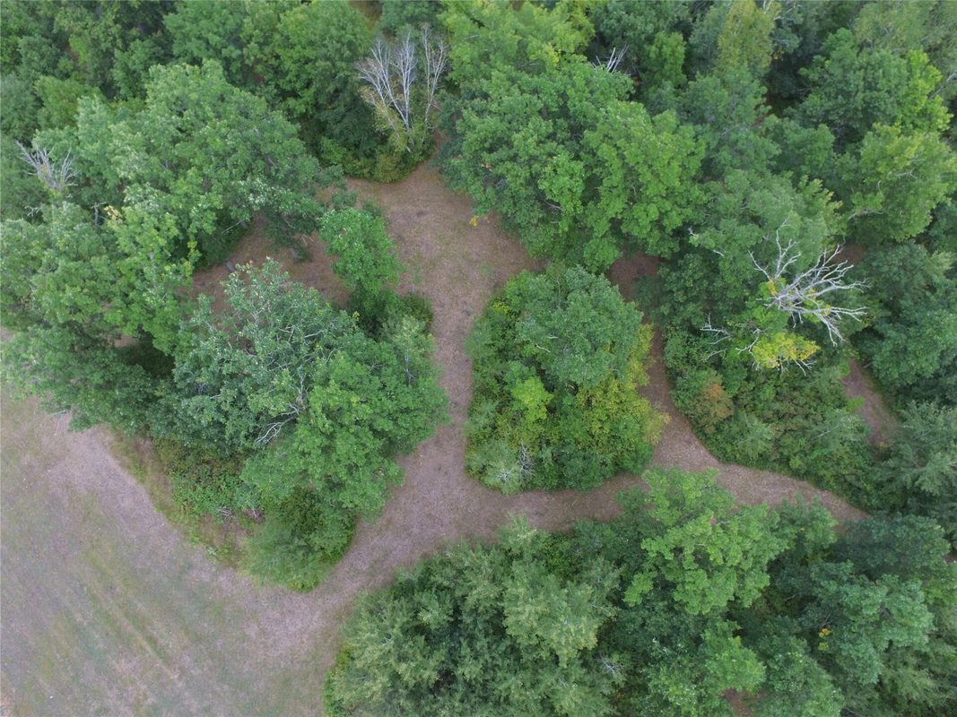 TBD State Highway 77, Danbury WI 54830 - Land house for sale - MLS #1604768 - image38