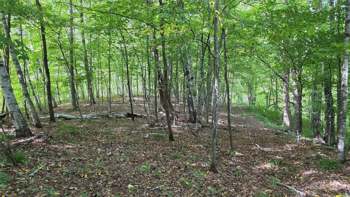 XX County Rd O, Boyceville WI 54725 - Land house for sale - MLS #1604881 - image36