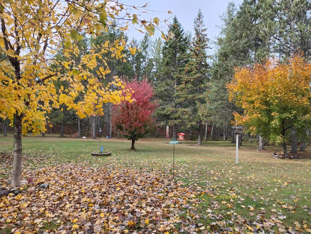 W3602 Willers Road, Springbrook WI 54875 - Residential house for sale - MLS #1602817 - image47