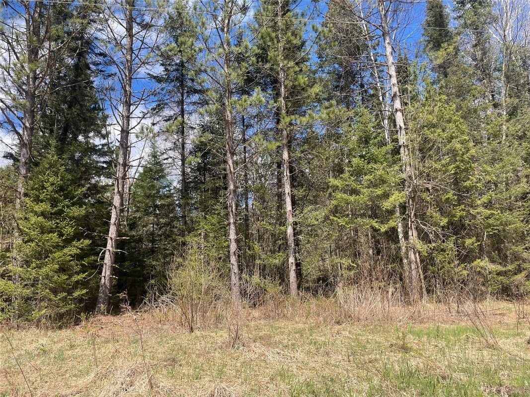 81620 Pociask Road, Butternut WI 54514 - Land house for sale - MLS #1601089 - image2