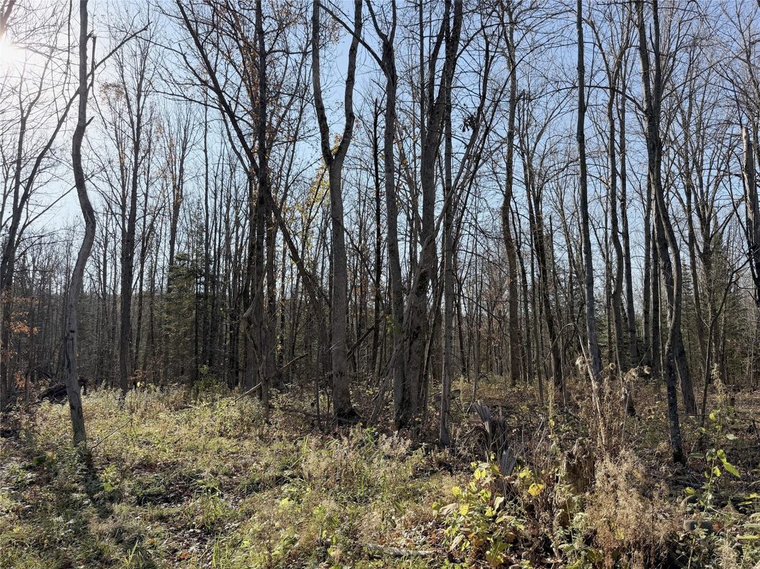 3621 Town Line Road, Glen Flora WI 54526 - Residential house for sale - MLS #1606236 - image28