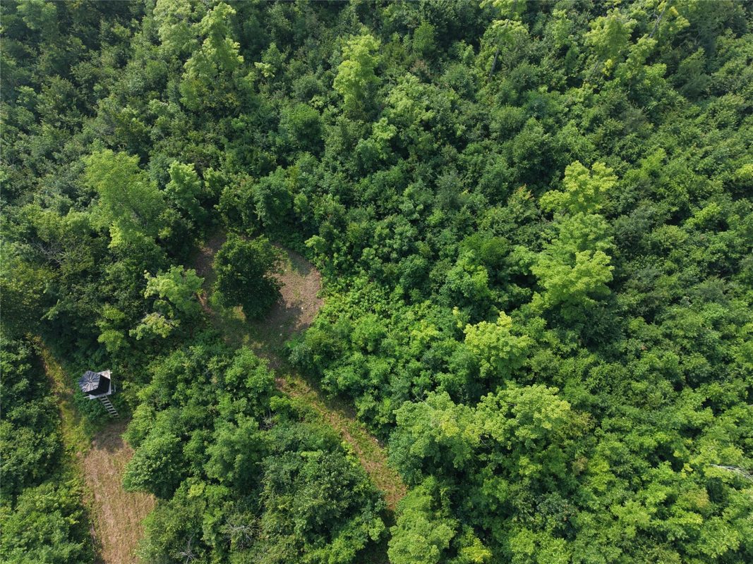 On County Road H, Radisson WI 54867 - Land house for sale - MLS #1603350 - image20