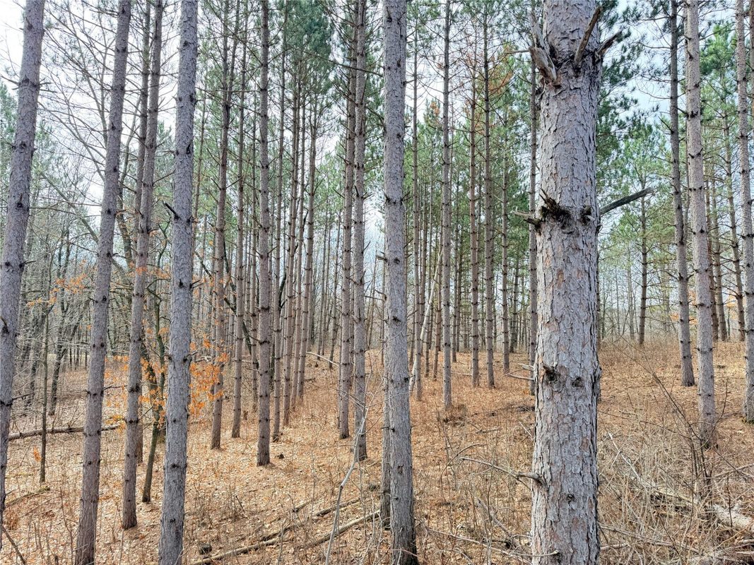 Lot 3 Big Lake Drive, Osceola WI 54020 - Land house for sale - MLS #1599897 - image11