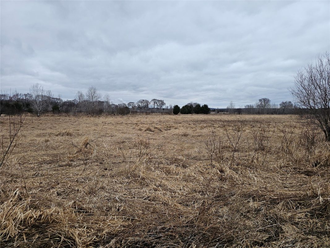 XXX 994th Avenue Boyceville WI 54725 — photo 5