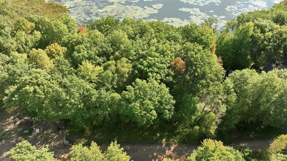 Lot 2 Sugar Bay Road, Chetek WI 54728 - Land house for sale - MLS #1605220 - image14
