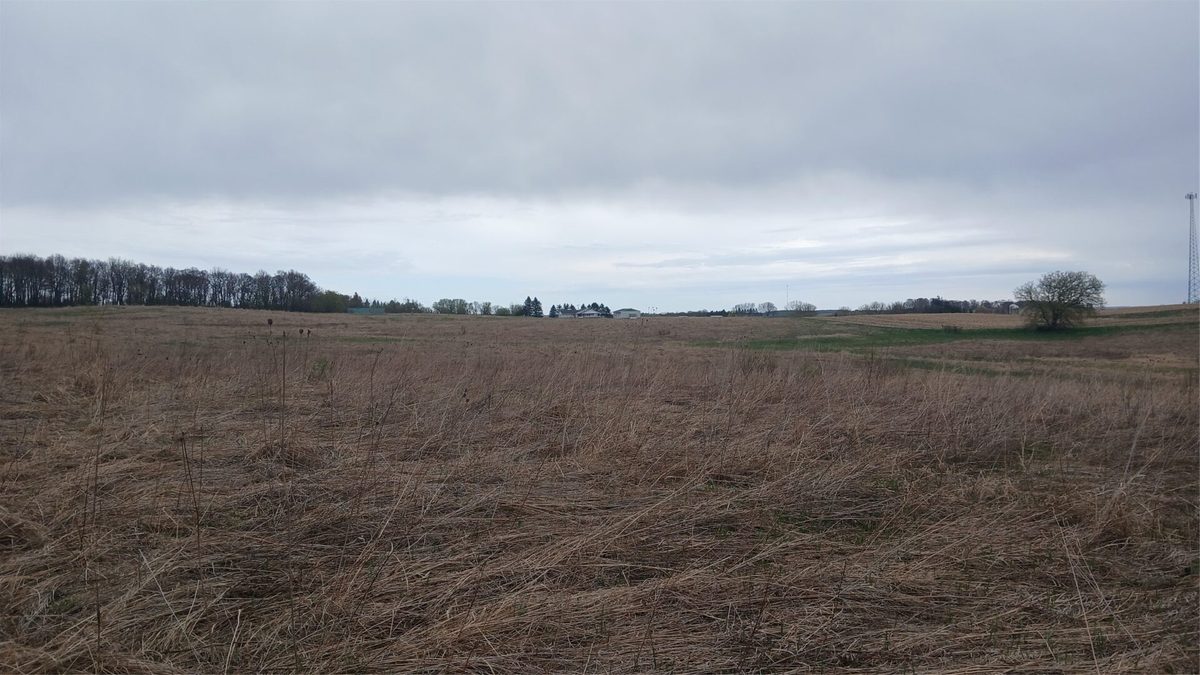 62 Acres 82nd St, Bloomer, WI — photo 7
