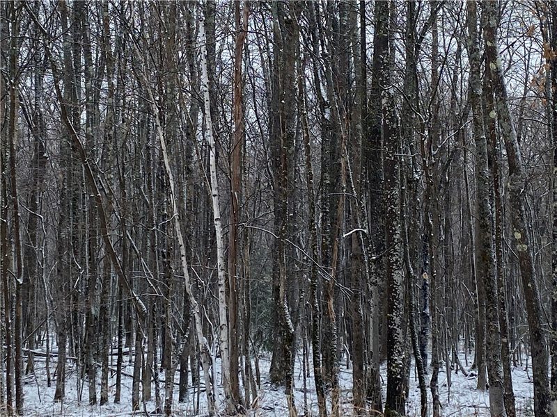 Near Seven Mile Road