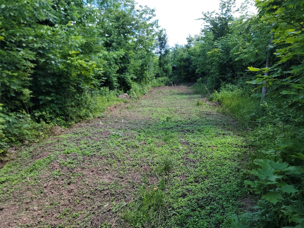On County Road H, Radisson WI 54867 - Land house for sale - MLS #1603350 - image4