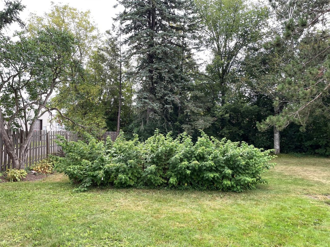 131 Lulu Avenue, Almena WI 54805 - Residential house for sale - MLS #1604456 - image50