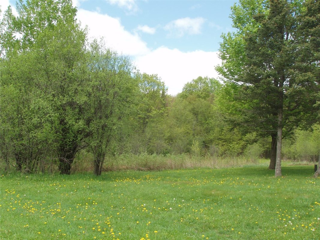 W9002 Moonshine Alley, Catawba WI 54514 - Residential house for sale - MLS #1601811 - image38