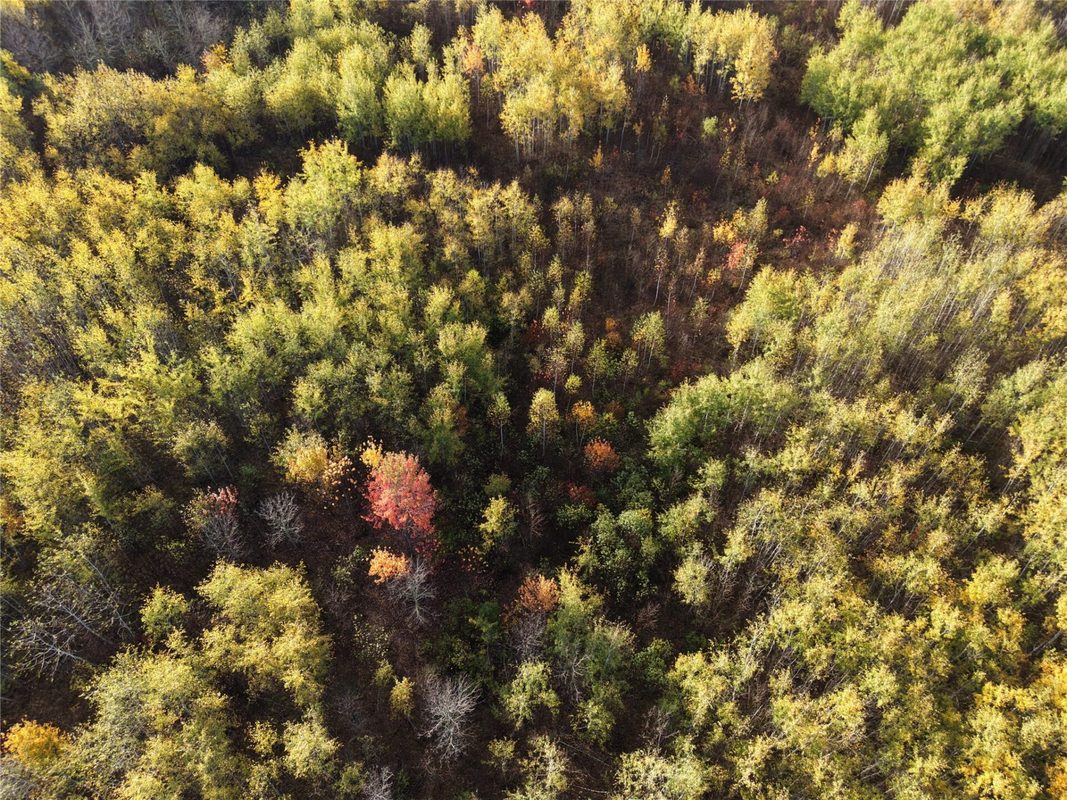 On County Highway W, Winter WI 54896 - Land house for sale - MLS #1605419 - image8