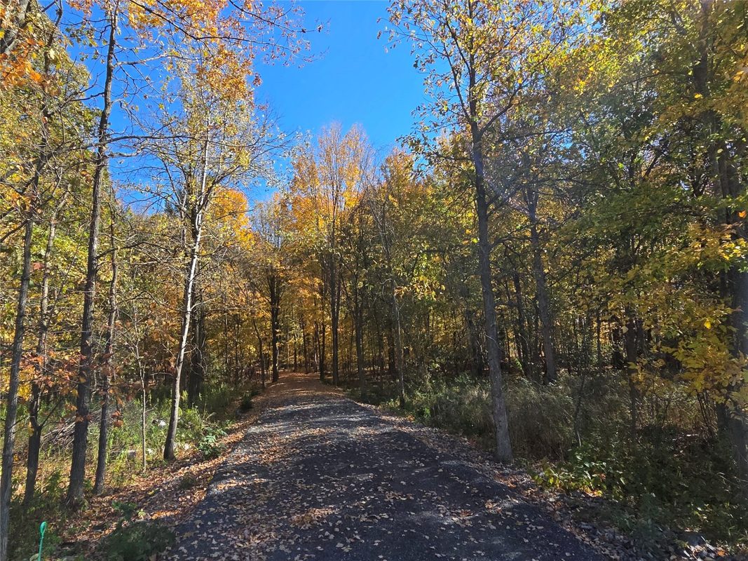 2541 County Hwy D, Boyd WI 54726 - Land house for sale - MLS #1605930 - image4