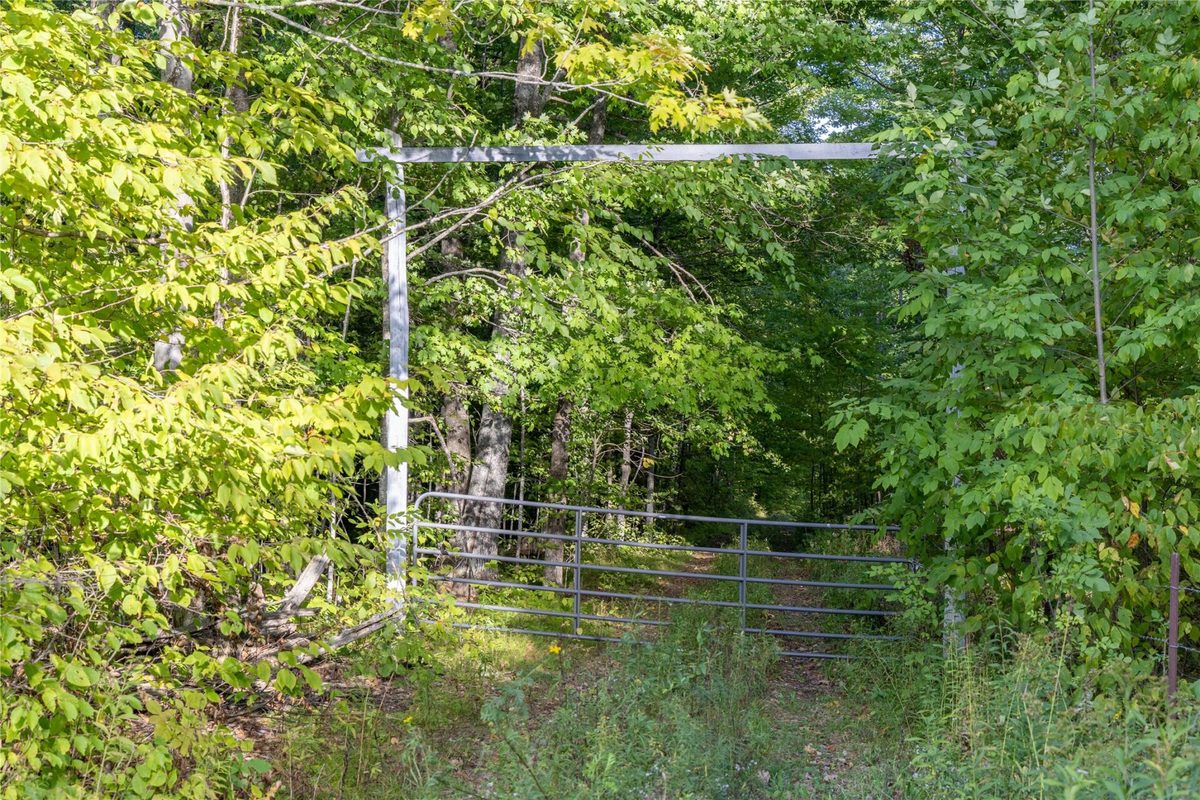 38.2 Acres Vierck Lane, Exeland WI 54835 - Land house for sale - MLS #1605286 - image13
