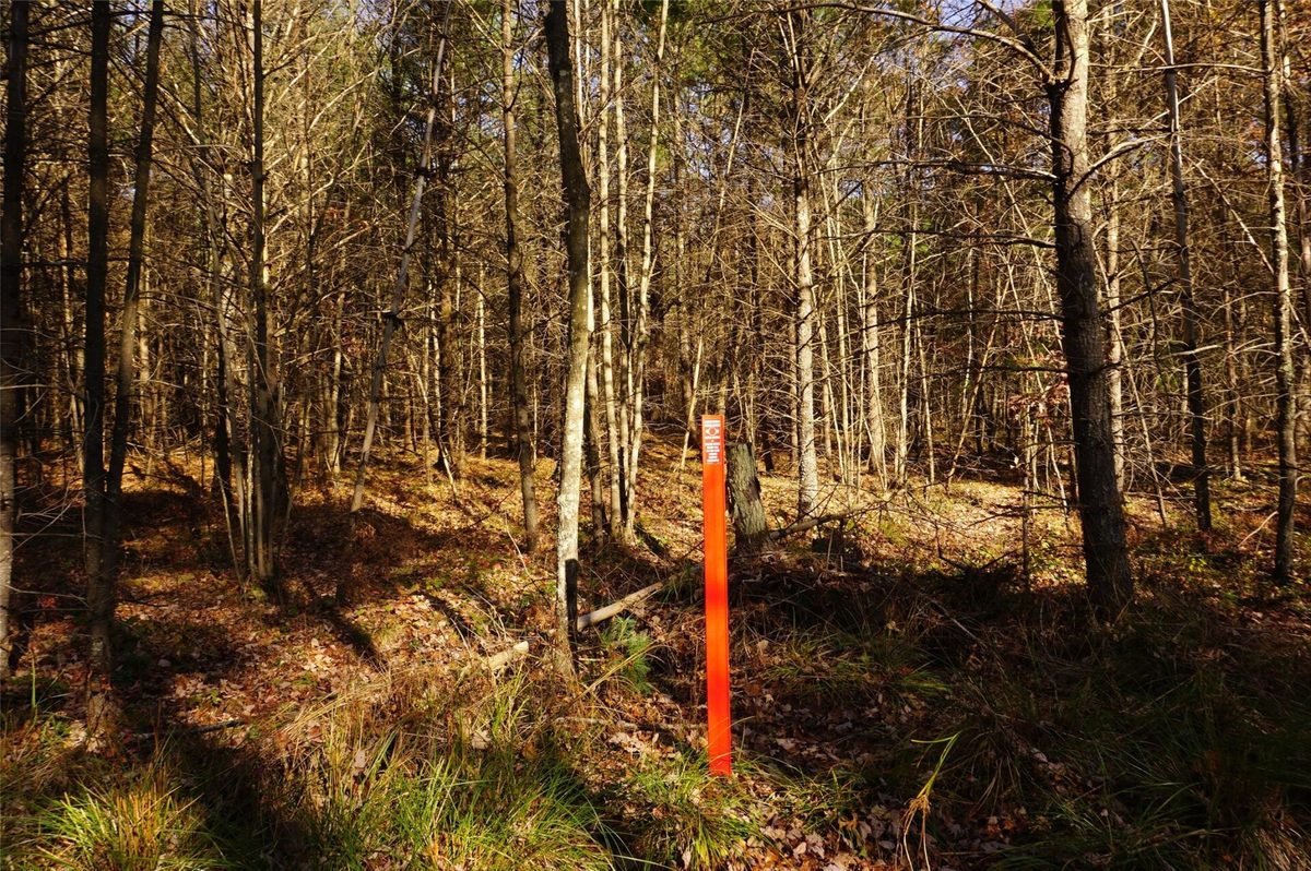 Lot 6 County Road J, Neillsville WI 54456 - Land house for sale - MLS #1606165 - image6