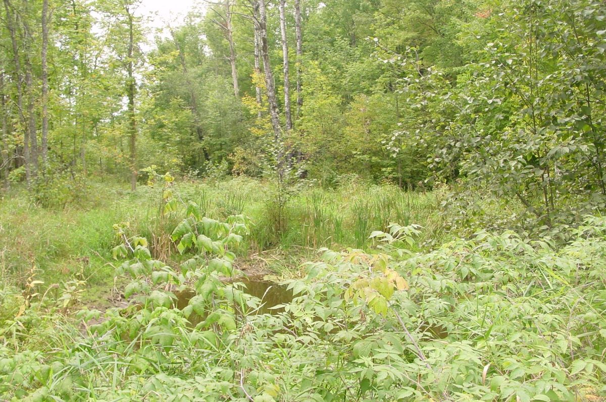N5391 Hwy. 73, Ingram WI 54526 - Residential house for sale - MLS #1604886 - image25