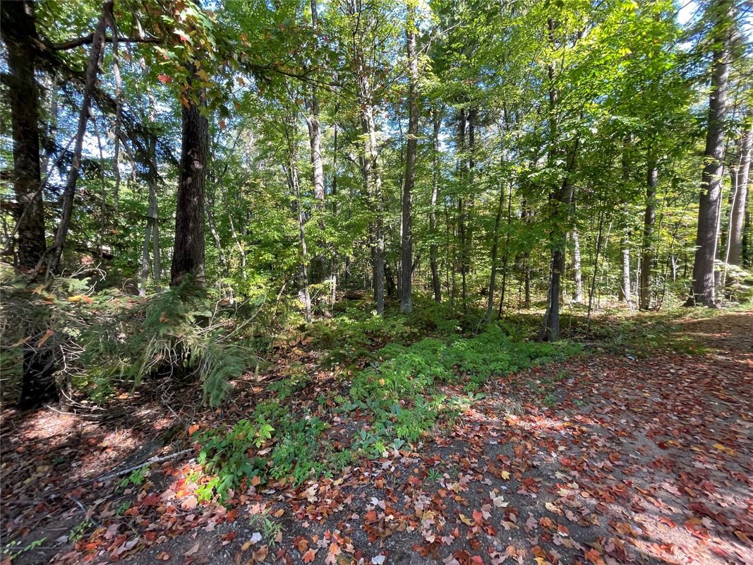 6073 Elsie Road, Stone Lake WI 54876 - Land house for sale - MLS #1602616 - image46