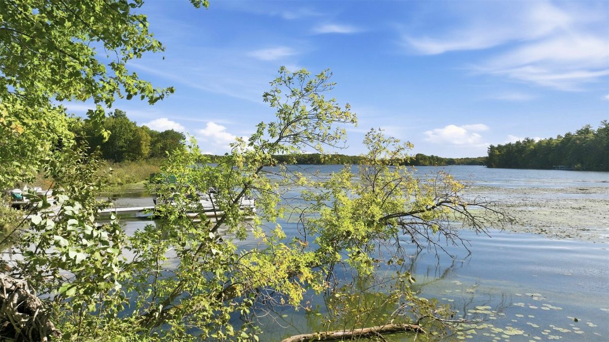Lot 2 Sugar Bay Road, Chetek WI 54728 - Land house for sale - MLS #1605220 - image4