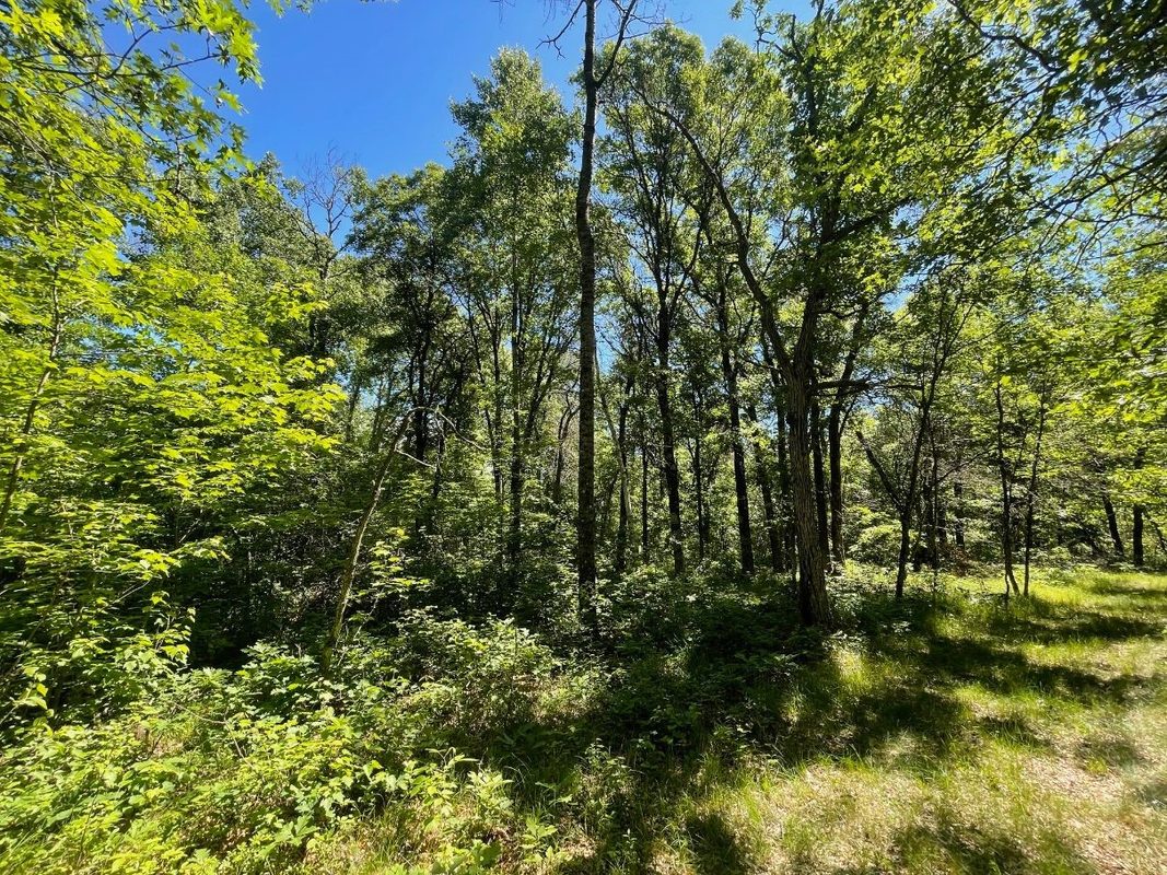12997 Mail Road, Gordon WI 54838 - Residential house for sale - MLS #1602637 - image41