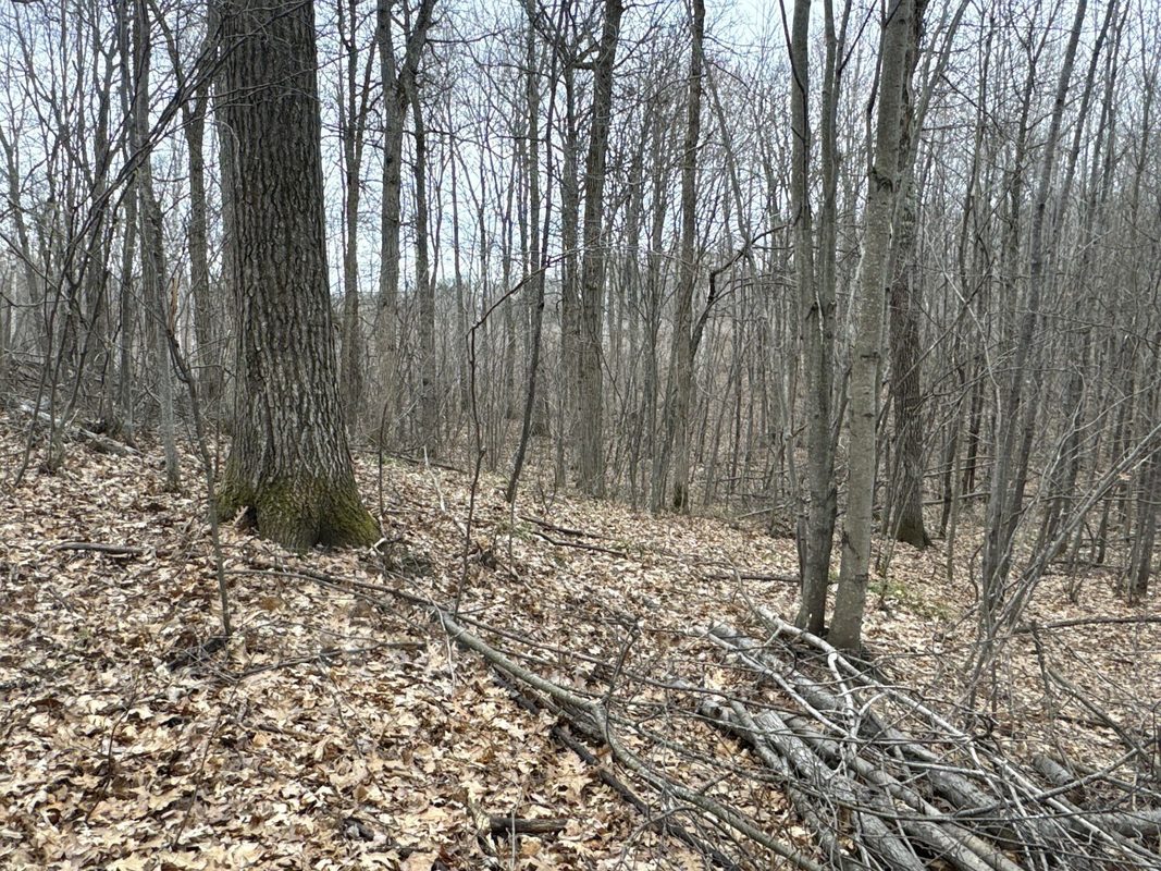 TBD Barrett Trail, Trego WI 54888 - Land house for sale - MLS #1600463 - image15