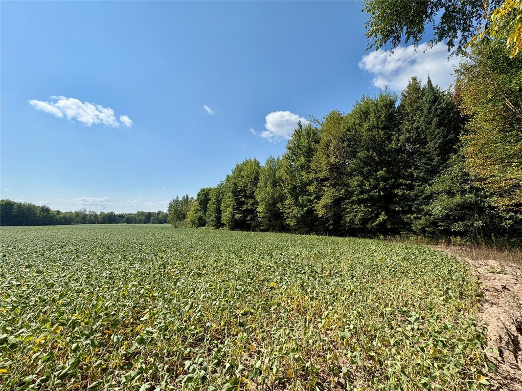 W16860 Cty Rd D, Sheldon WI 54766 - Land house for sale - MLS #1604631 - image41