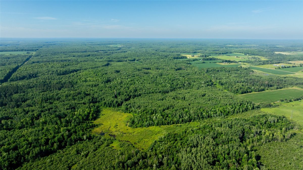 W5343 County Road X, Glen Flora WI 54526 - Land house for sale - MLS #1603306 - image10