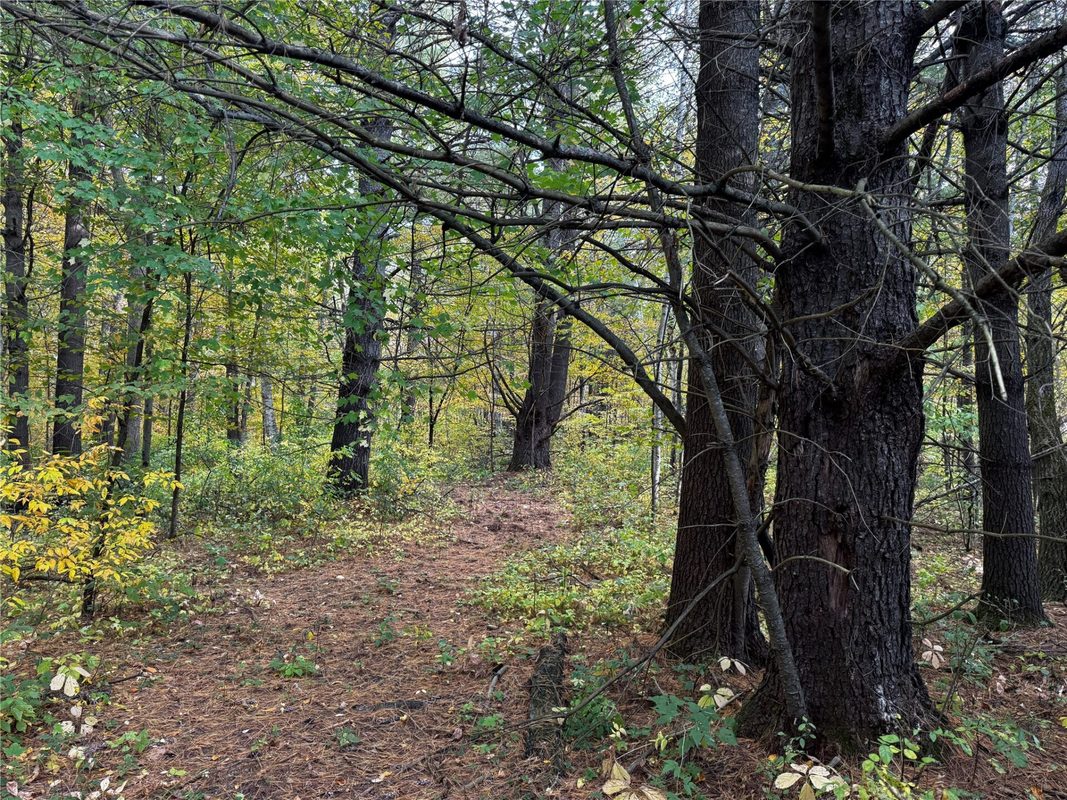 3461 56th, Frederic WI 54837 - Land house for sale - MLS #1605729 - image26