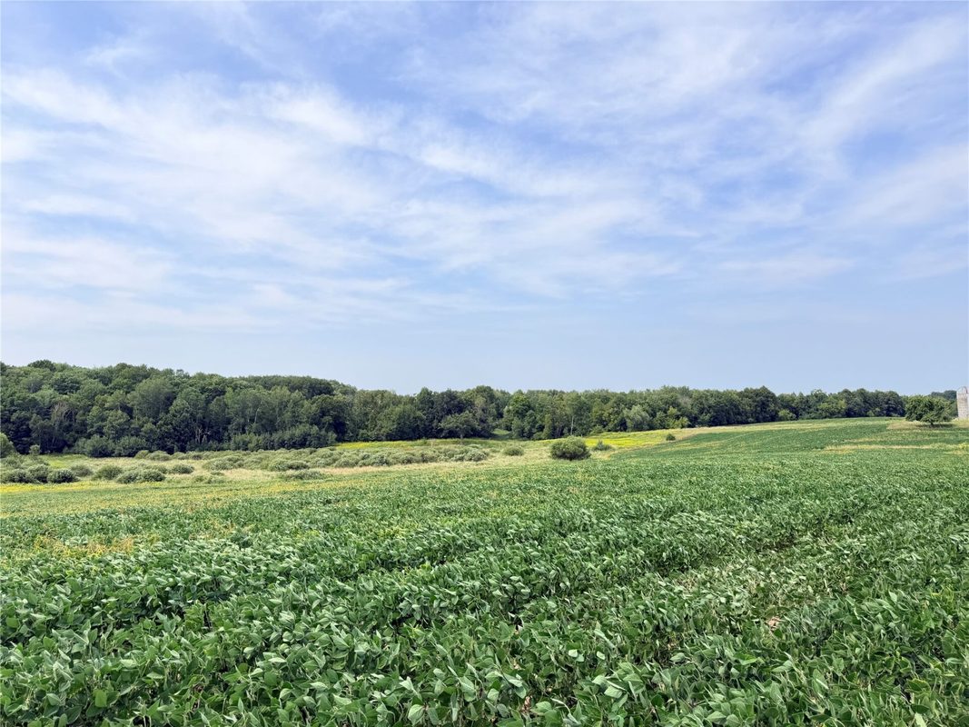 10 Acres Lot 4 230th Street, St Croix Falls WI 54024 - Land house for sale - MLS #1606210 - image23
