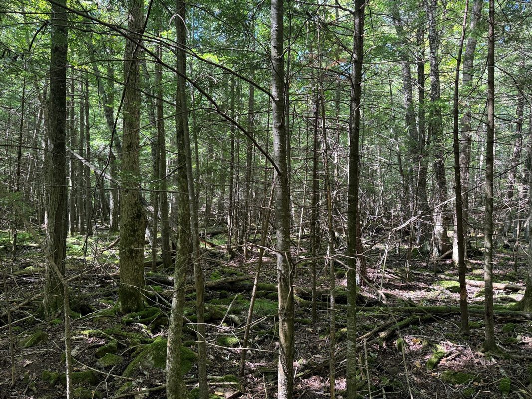 OOO County Road L, Merrill WI 54452 - Land house for sale - MLS #1605059 - image20