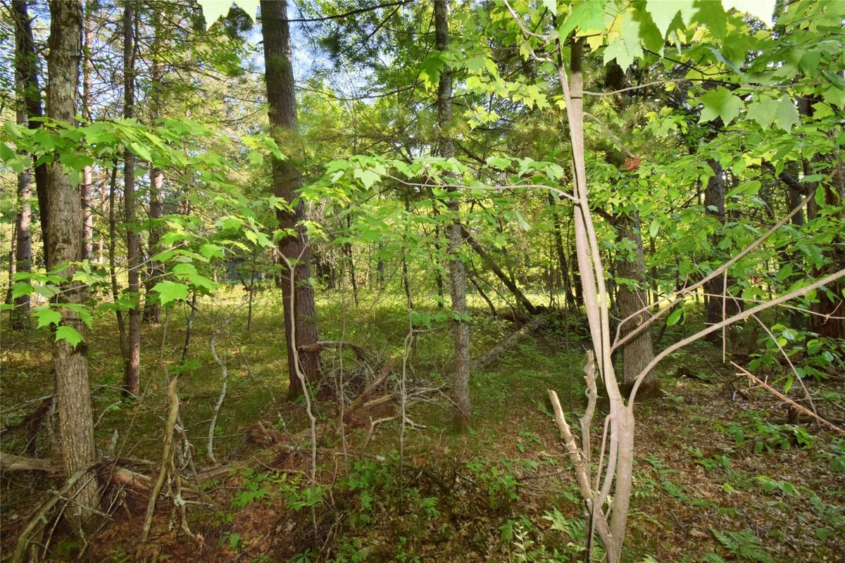 Lot 31 Setting Sun Trail Way, Danbury WI 54830 - Land house for sale - MLS #1601782 - image17